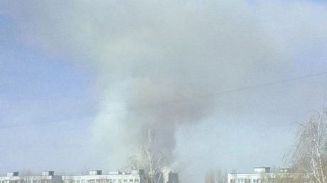 Пензенцы из разных районов города наблюдают пожар в Заре