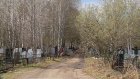 Пензенцы превратили Чемодановское кладбище в автобан