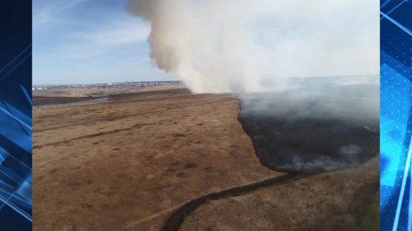Масштаб пожара на полях в Заре засняли с воздуха