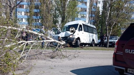 На проспекте Строителей в Пензе маршрутка снесла березу