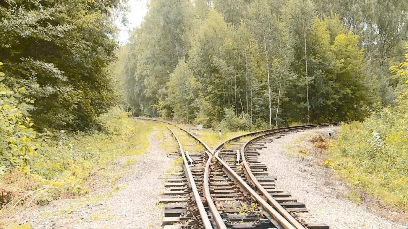 В Пензе озвучен новый срок открытия обновленной детской железной дороги