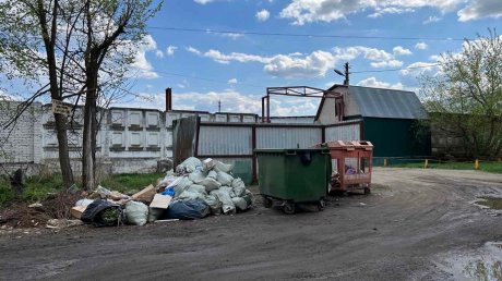 Пензенцы получат 1 000 руб., сообщив о выгрузке запрещенных отходов