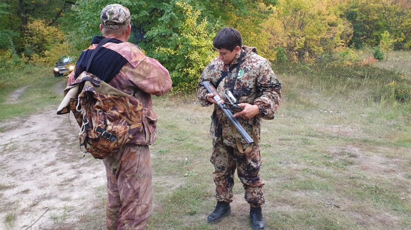 В Пензенской области браконьеры убили лосиху и косулю