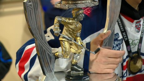 В «Дизель-Арене» впервые выставили Кубок Харламова