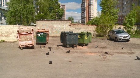 Пензенцы пожаловались на ужасное состояние мусорки на Попова
