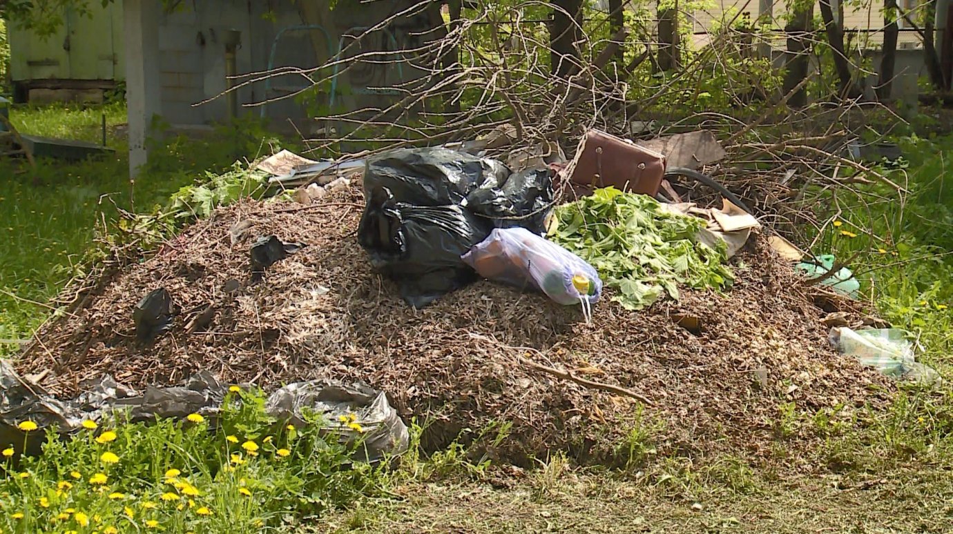 На улице Беляева с марта лежит куча собранного мусора
