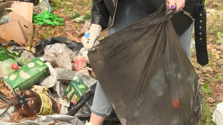 Активисты вывезли мусор с побережья Сурского водохранилища