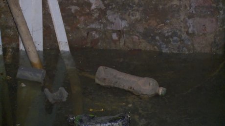 Из затопленного подвала в квартиры на Крупской ползут тараканы