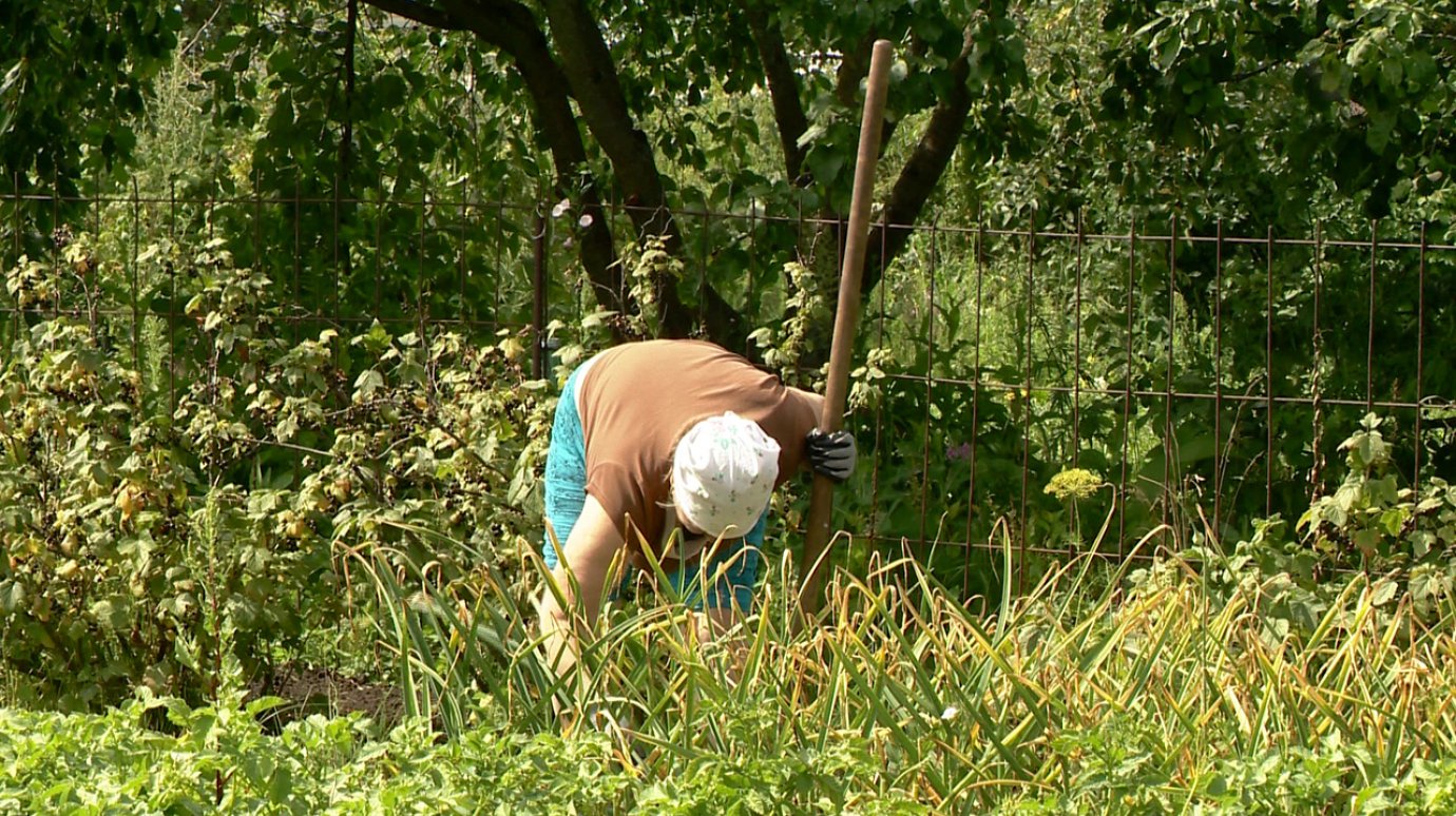 Лунный календарь дачника на июнь 2023 года