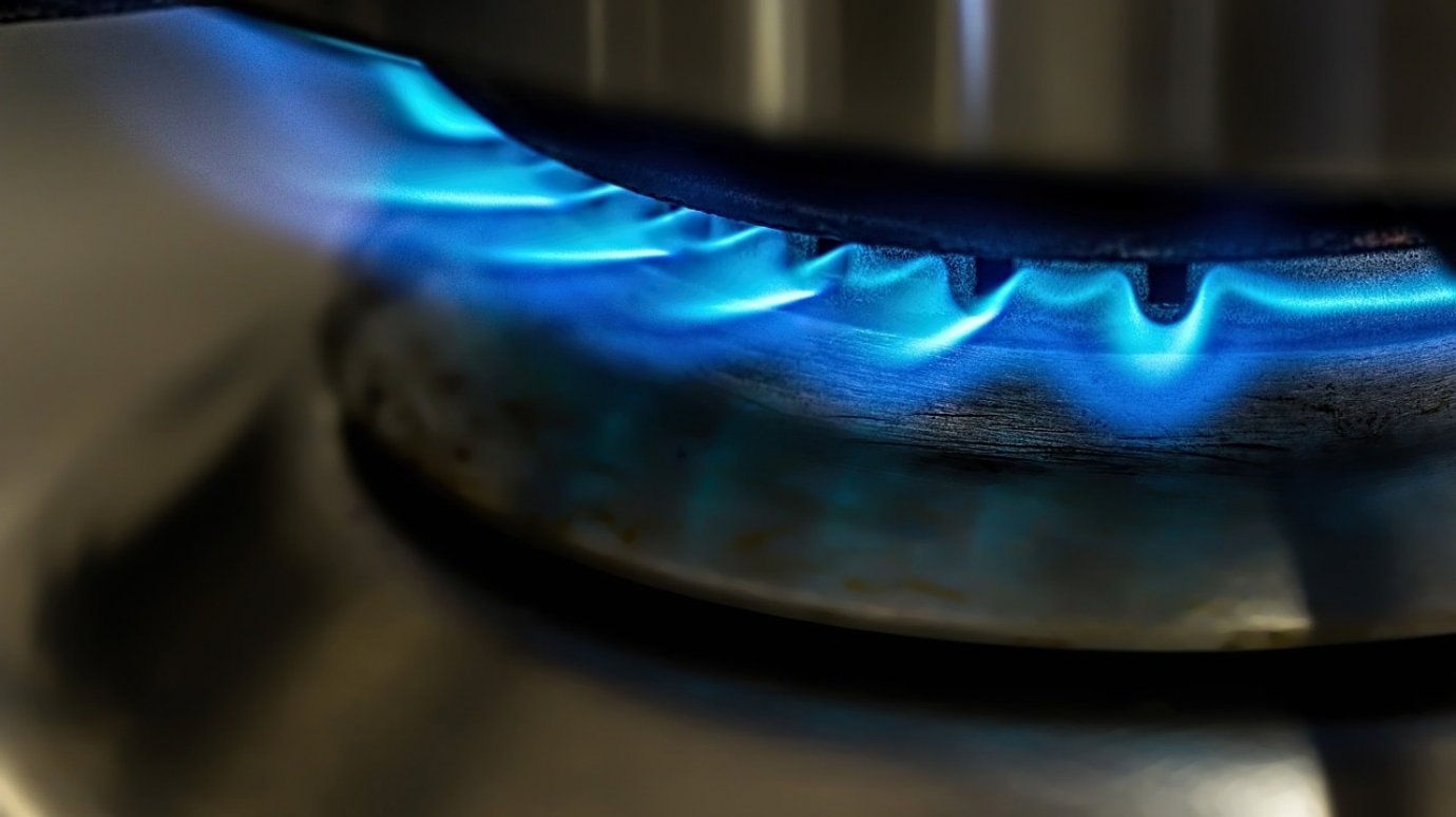 Пензенцы через «Личный кабинет» решают вопросы газопотребления