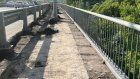 Тротуары на Арбековском путепроводе отремонтируют за 8,5 млн