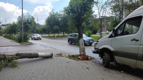 На улице Ленинградской маршрутка врезалась в дерево