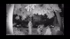 В Пензе ограбление женщины у подъезда попало на видео