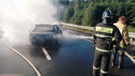 Появились подробности ДТП с загоревшимся автомобилем Ford