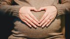 Как выплачивают пособия по беременности и родам?