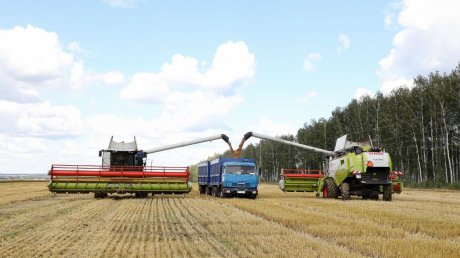 В Пензенской области собрали первый миллион тонн зерна