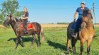 В Пензенской области разыскивают украденных лошадей