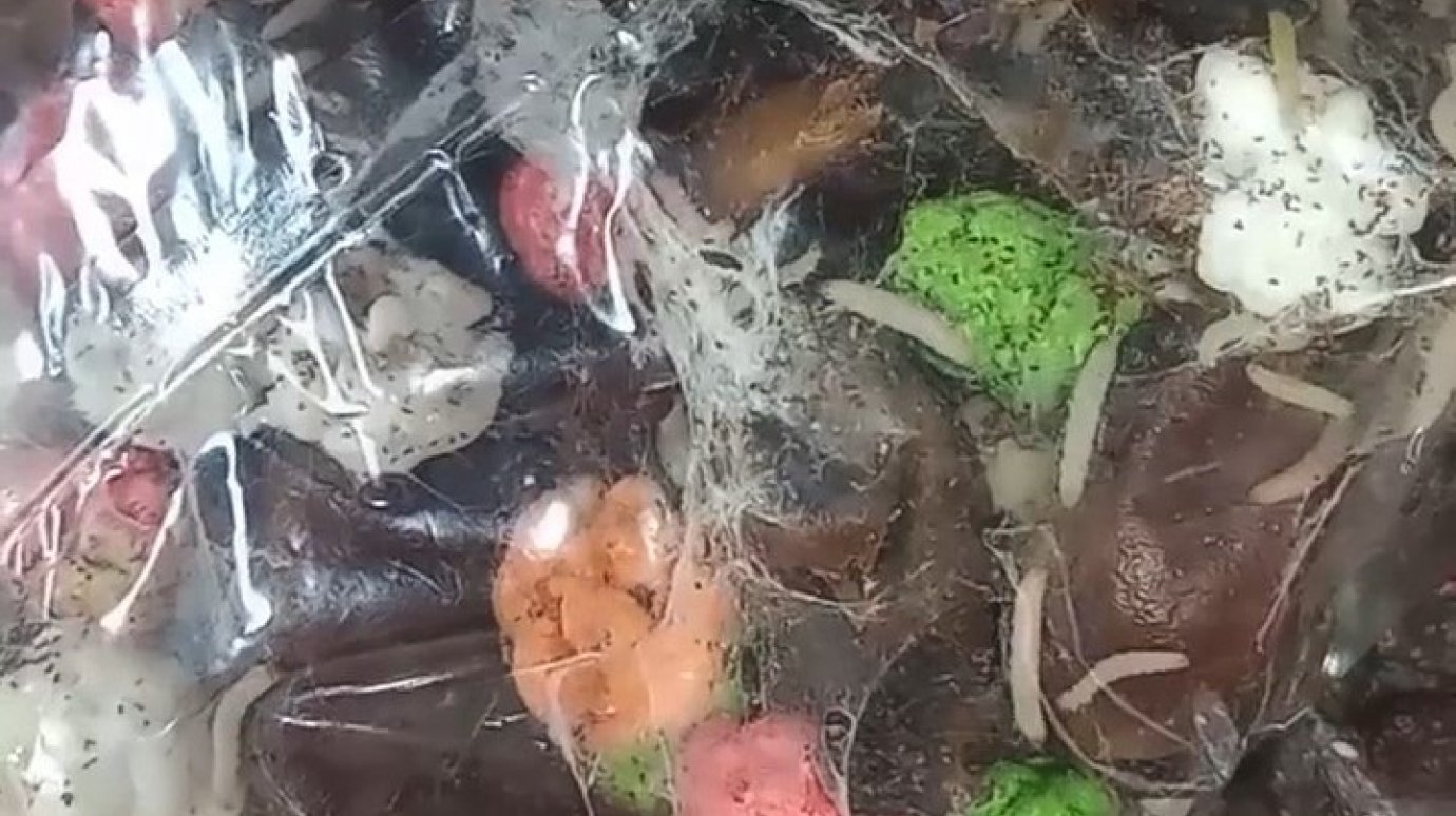Пензячка нашла в магазине десерт с кишащими в нем червями