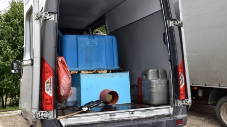 В Пензенское водохранилище выпустили 9 000 мальков стерляди