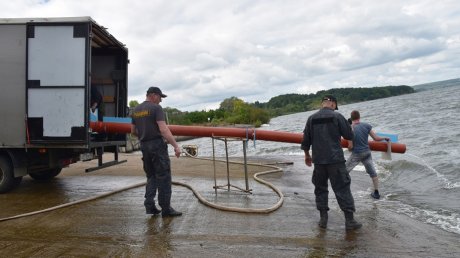 В Пензенское водохранилище выпустили 9 000 мальков стерляди