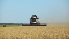 Приемы подкормки от «ФосАгро-Волга» помогли получить рекордный урожай