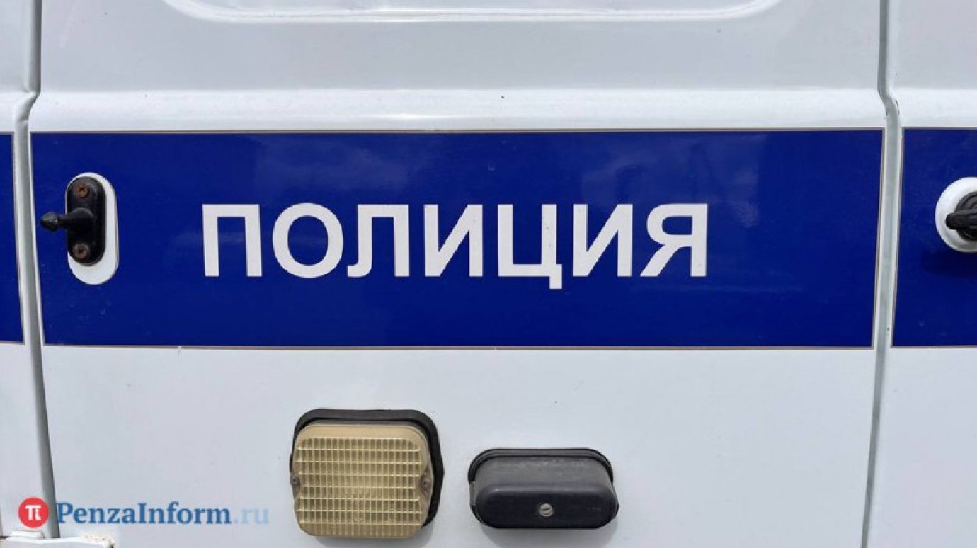 Житель Земетчинского района сбил с ног и ударил полицейского