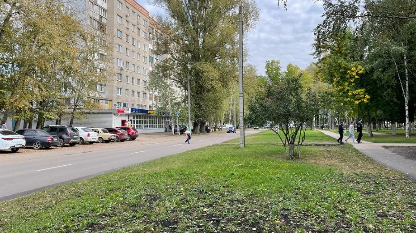 Пензенцам вернут переход к Детскому парку на улице Одесской