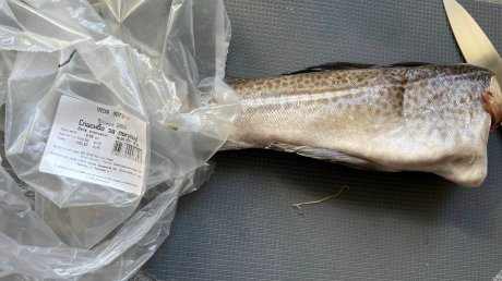 Пензячка нашла червей в охлажденной рыбе из магазина