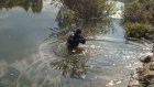 В Пензенском районе мужчина упал в пруд и не смог выплыть