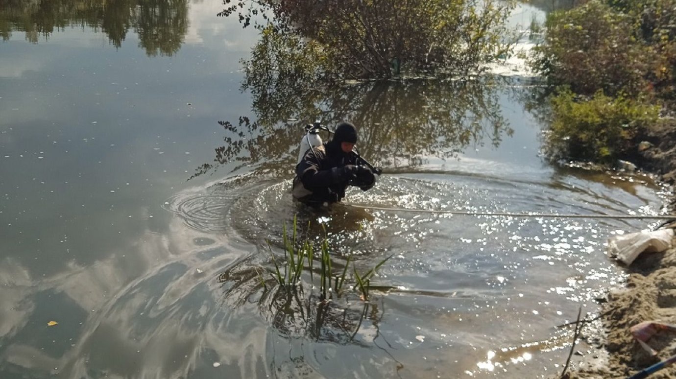 В Пензенском районе мужчина упал в пруд и не смог выплыть