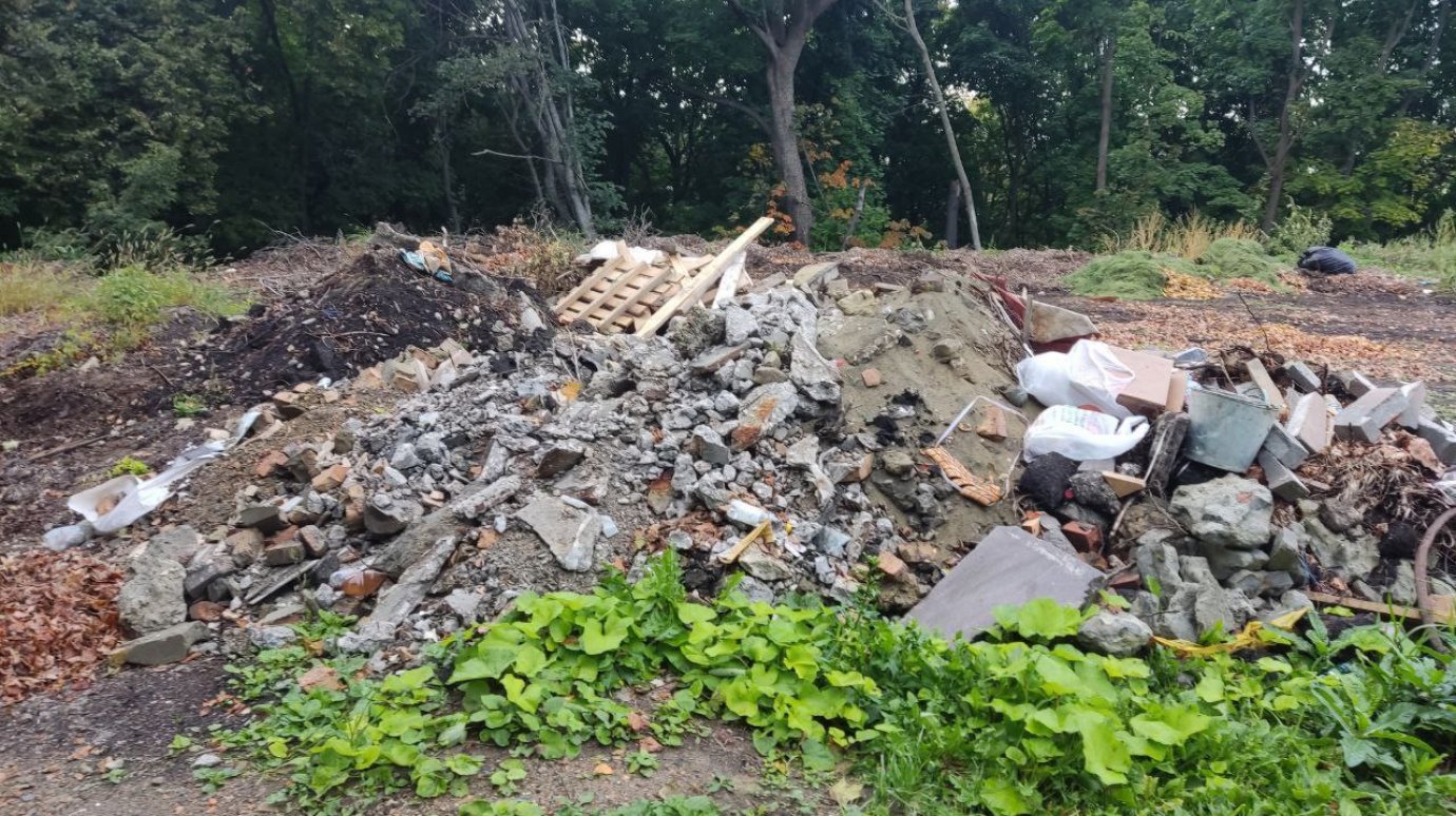 Дорожку за пединститутом очистят от мусора после благоустройства парка