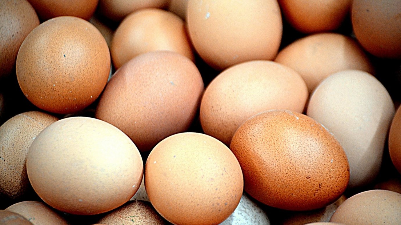 Эксперт спрогнозировал рост цен на яйца и мясо до конца года