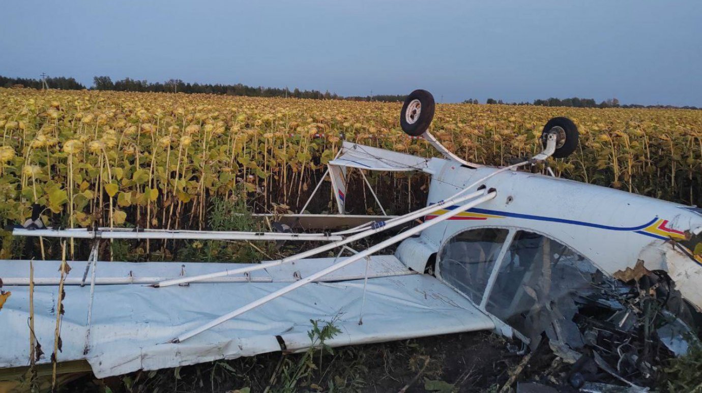 Названы возможные причины падения самолета в Пензенском районе