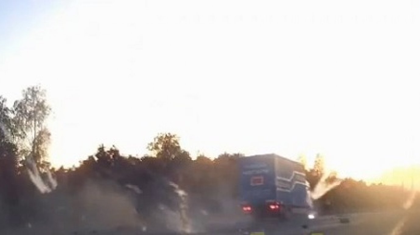 Момент гибели двух людей в ДТП на трассе Тамбов - Пенза попал на видео