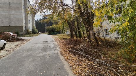 Улицы Никольска намерены расчищать всю осень