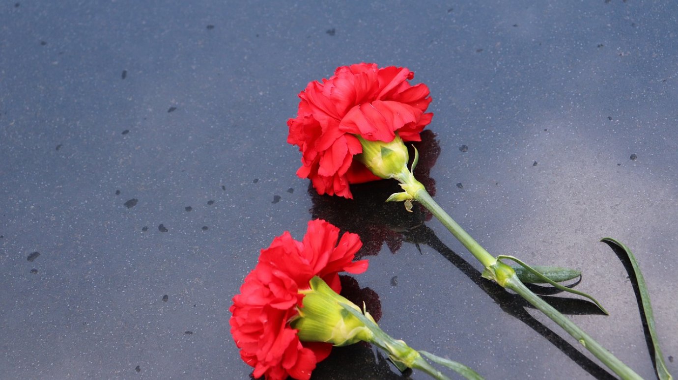 В Кузнецке установят мемориальные доски героям, погибшим в ходе СВО