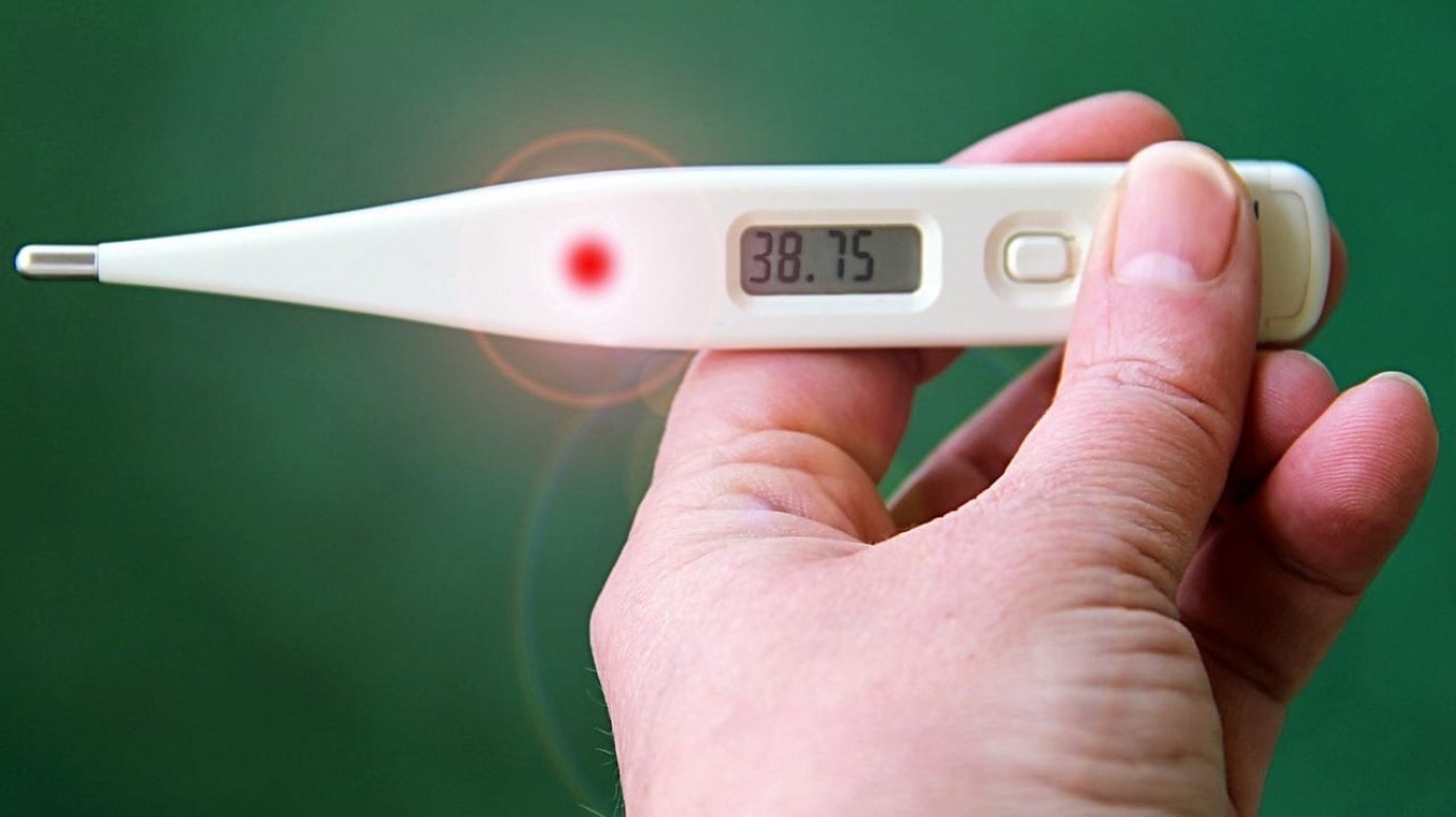Пензенские медики ожидают волну гриппа после резкого похолодания
