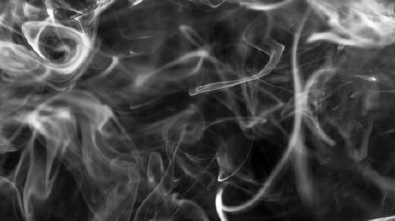 МЧС предлагает запретить курение вейпов в общественных местах