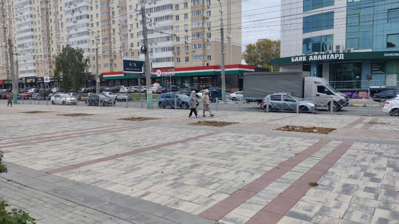 Улицу Плеханова в районе цирка пообещали заново озеленить