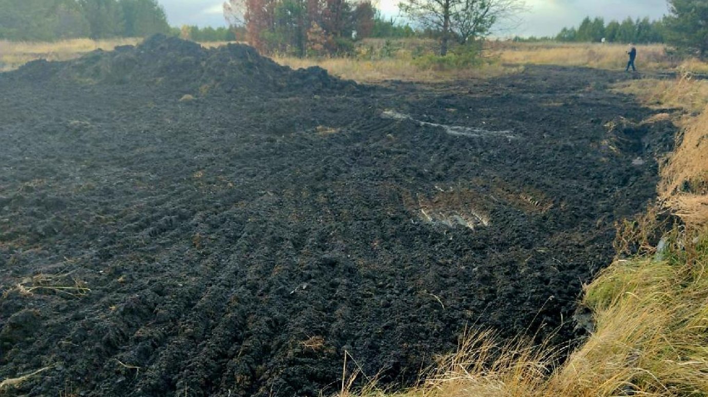 В Пензенской области оценивается ущерб от разлива нефтепродуктов