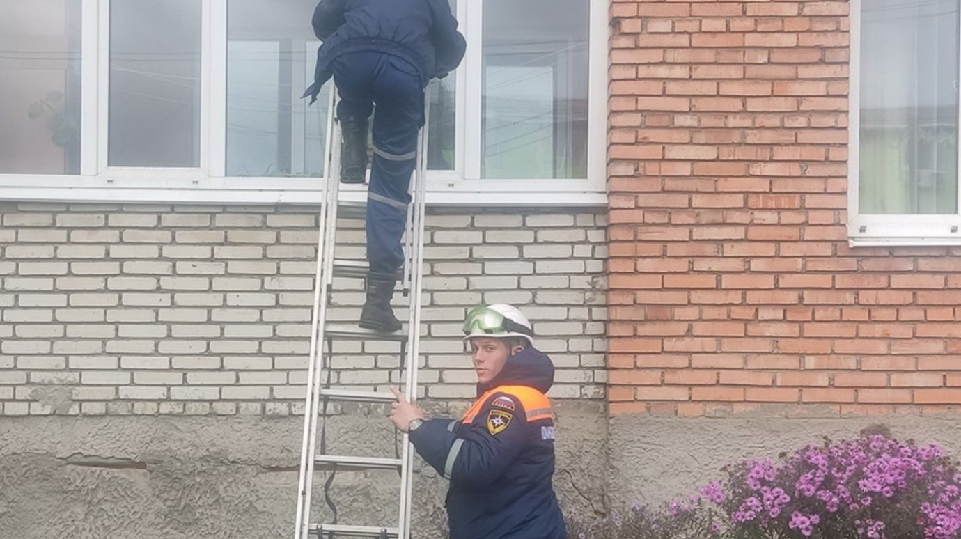 В Пензе двухлетний внук запер бабушку на балконе