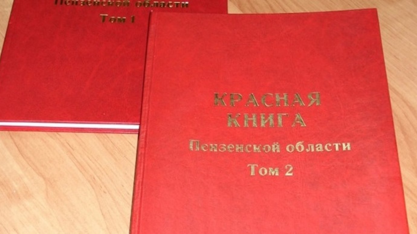 Красную книгу области дополнят редкими видами растений и грибов