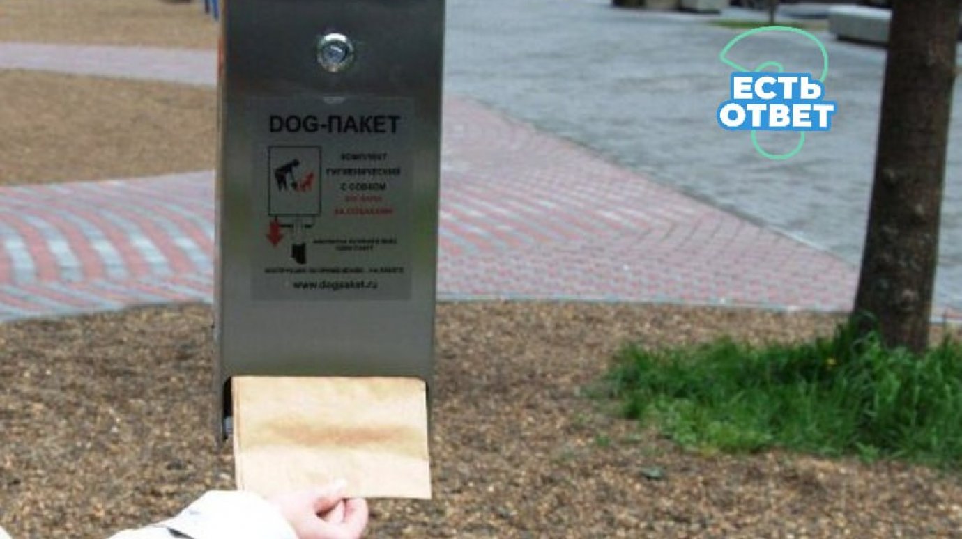 Пензенцы без питомцев опустошают ящики с пакетами для выгула собак