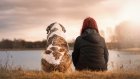 Осенний отпуск: помогите собаке пережить разлуку