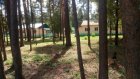 Лагерь «Светлая полянка» вновь начнет принимать детей на отдых