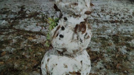 «Снеголистьевик»: зареченцы слепили фигуры из первого снега