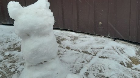 «Снеголистьевик»: зареченцы слепили фигуры из первого снега