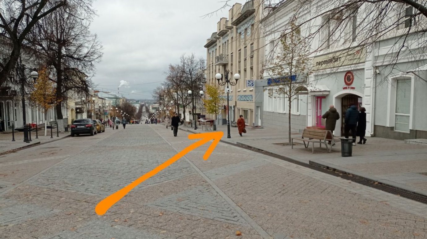 На ул. Московской женщина годами просит у пензенцев на проезд
