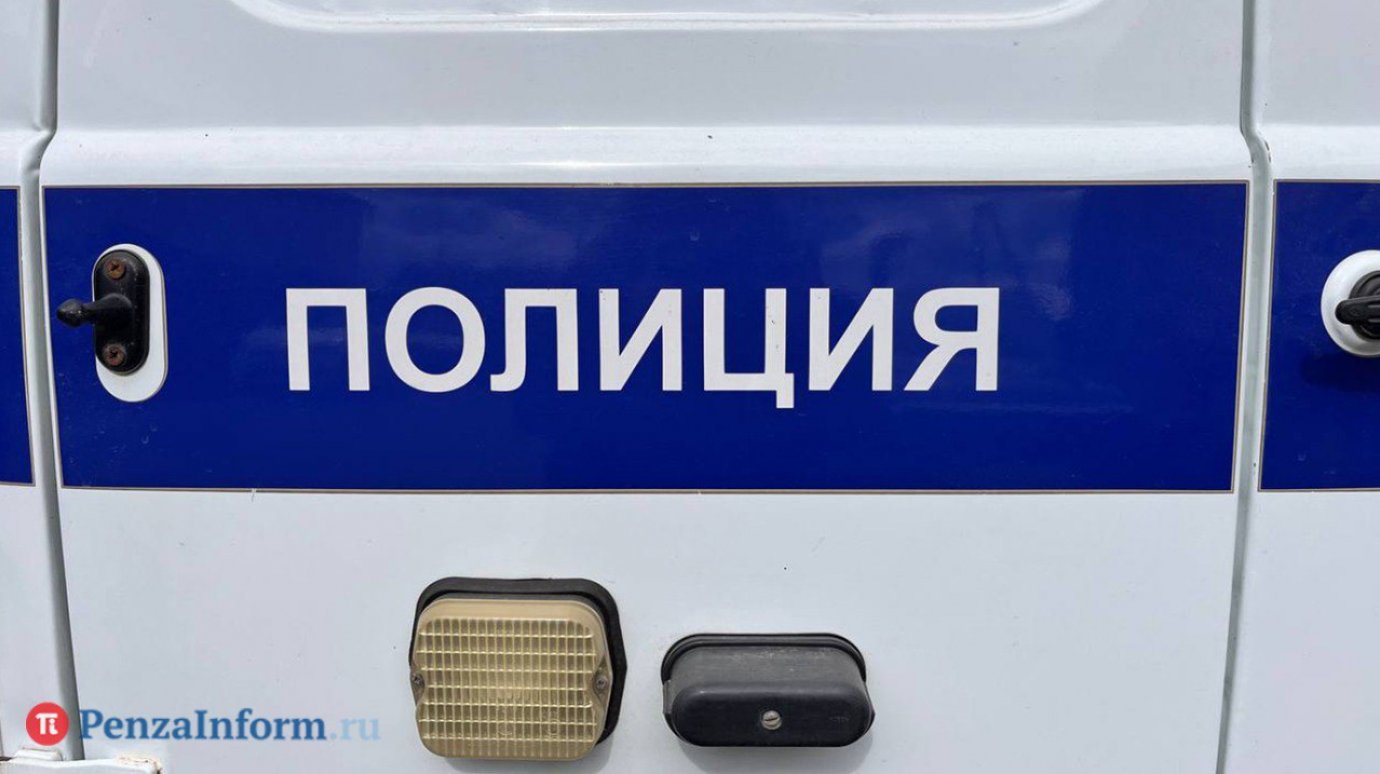 В российском городе захотели направить полицию на борьбу с пенисами