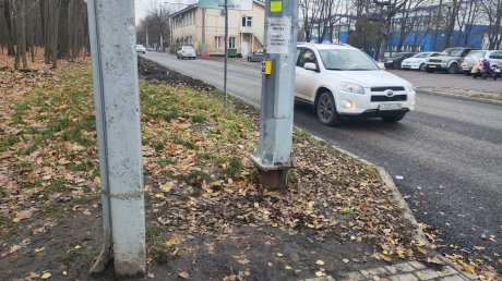 Вызывной светофор на ул. Попова заставляет пензенцев лезть в грязь